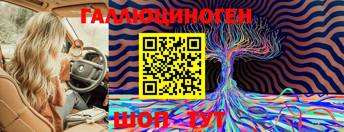Псилоцибиновые грибы Cubensis  Вход с VPN  Буйнакск 