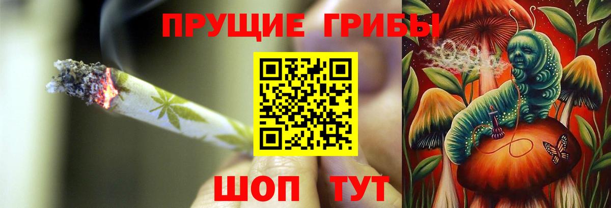 Галлюциногенные грибы Cubensis Буйнакск
